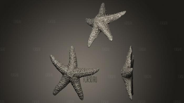 Starfish stl model for CNC